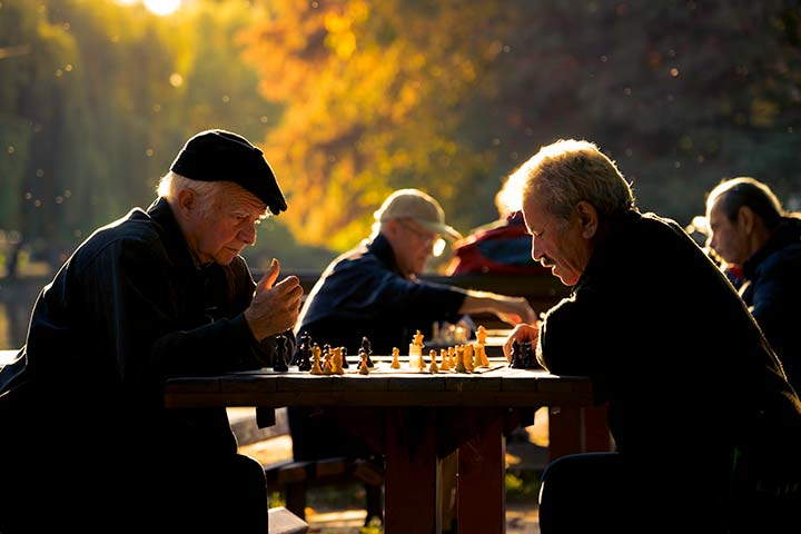 Les échecs et la vie, les points en commun