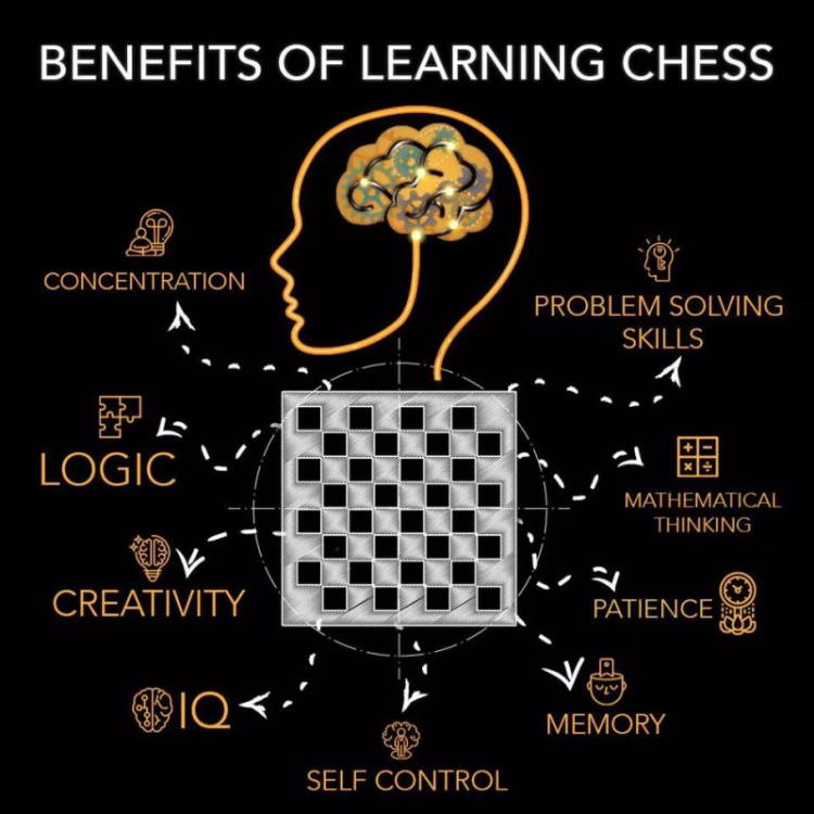 Les meilleurs joueurs pro d'échecs ont souvent un haut QI