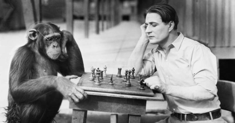 L'intelligence et les échecs